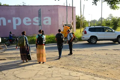 DSC_7981 (Large).JPG